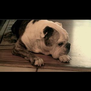 Meet your Posher, Sandra